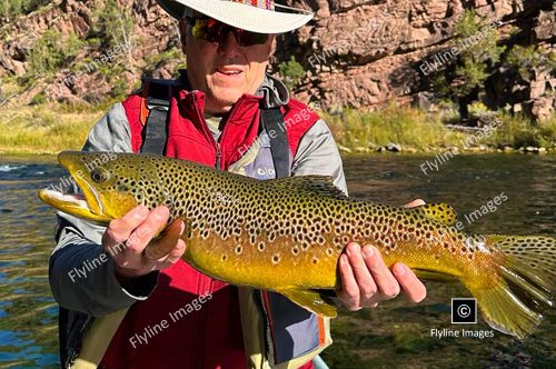 Green River, 25 Inch Brown Trout, Fly Fishing In Utah