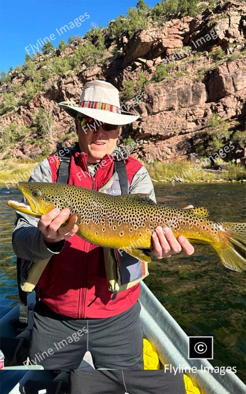 Green River, Brown Trout, Utah