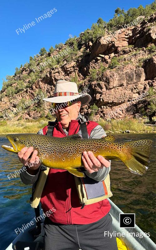 Green River Brown Trout, Flaming Gorge Resort Utah