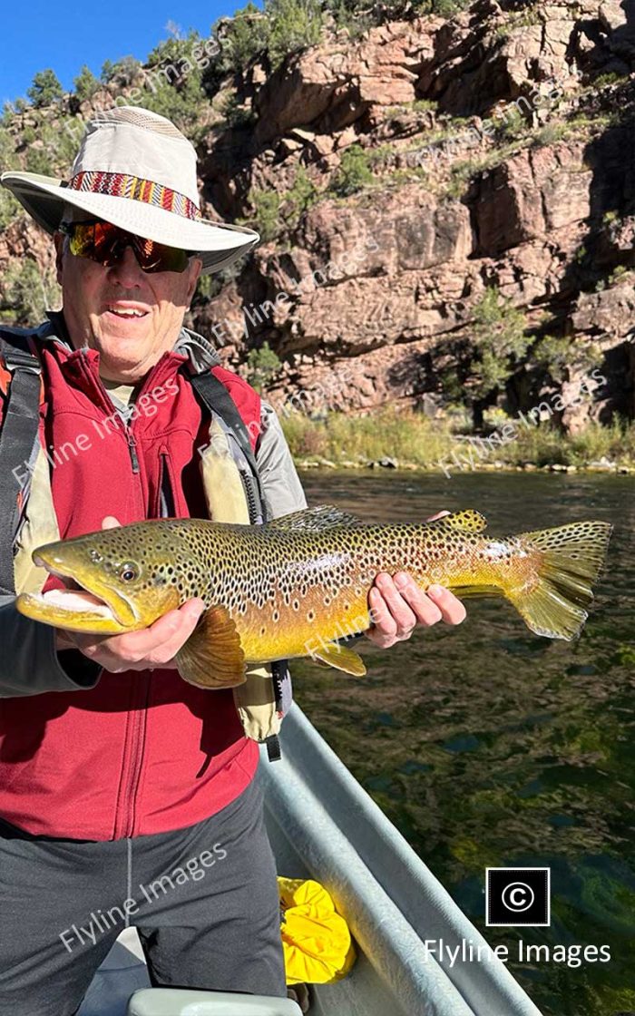 Green River Brown Trout