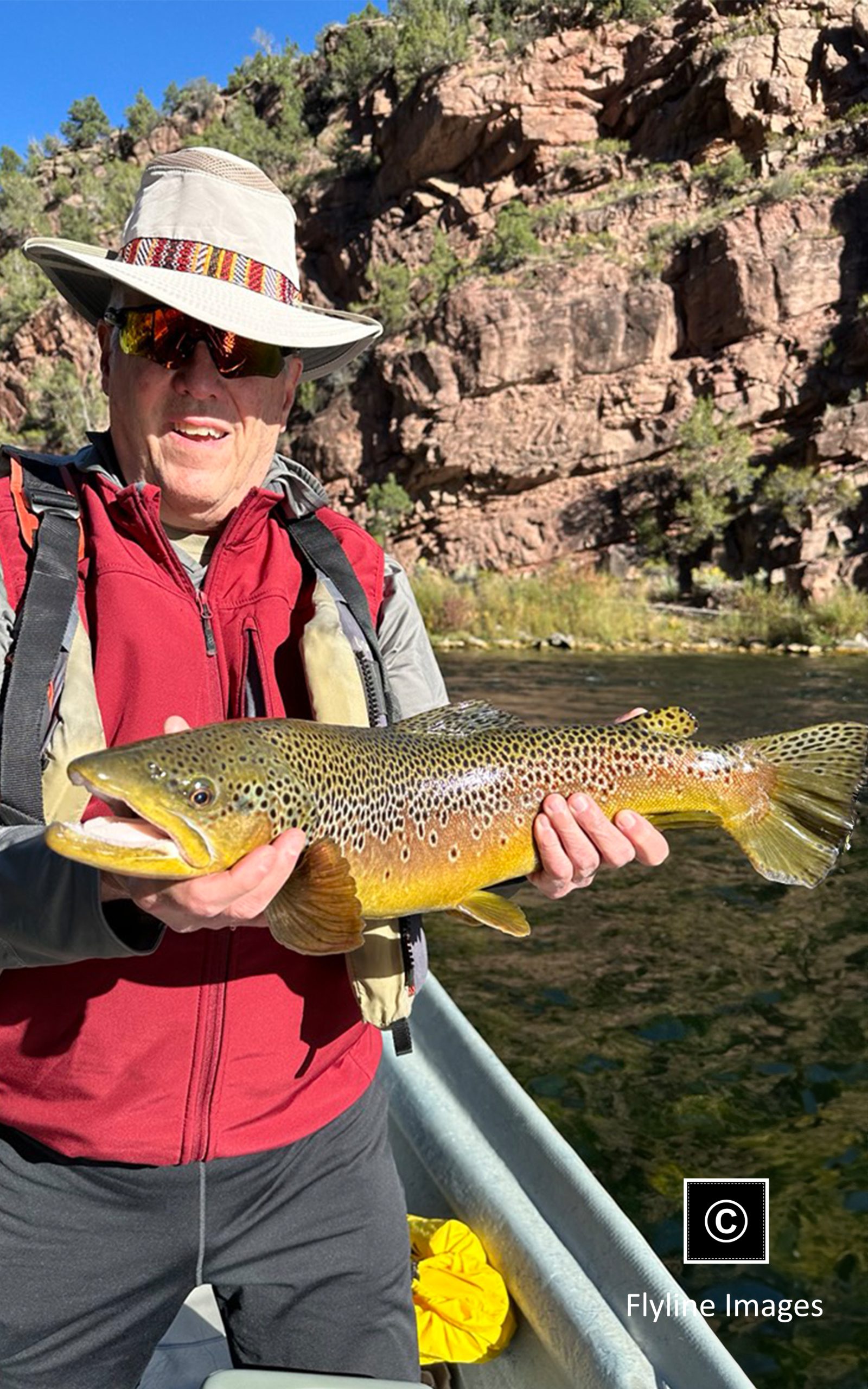 Green River, Brown Trout, Fly Fishing