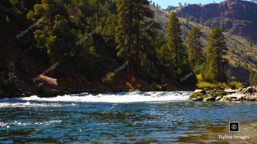 Green River, Fly Fishing, Utah