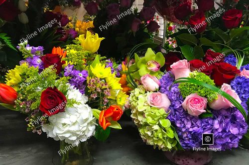 Hydrangea, Floral Bouquets