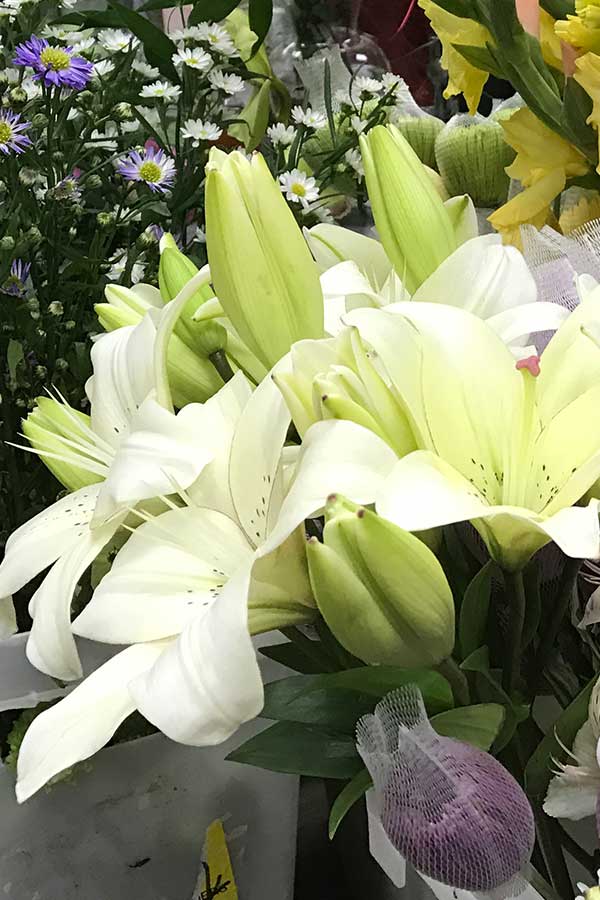 Lilies