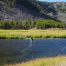 Madison River, Yellowstone National Park