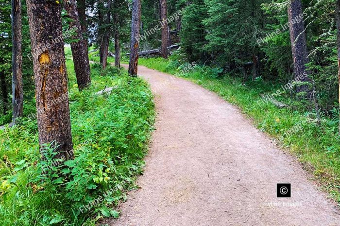 Slough Creek Trail, Arriving Near The First Meadow