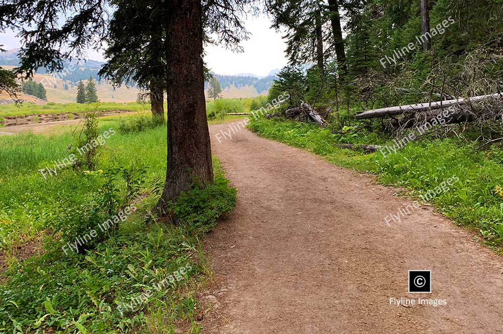 Slough Creek Trail, Arriving Near The First Meadow