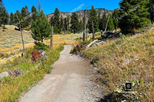 Slough Creek Trail, Yellowstone National Park