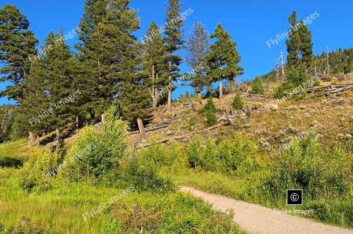 Slough Creek Trail, Yellowstone National Park