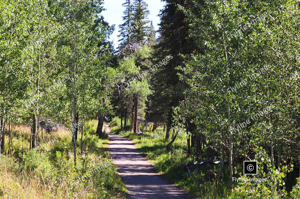 Slough Creek Trail, Yellowstone