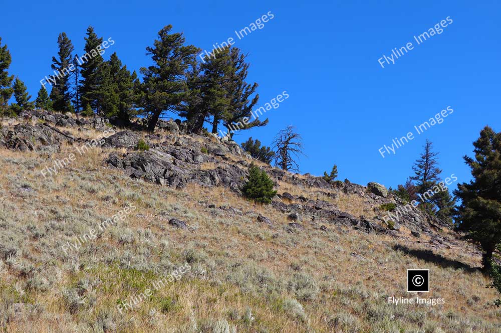 Slough Creek Trail