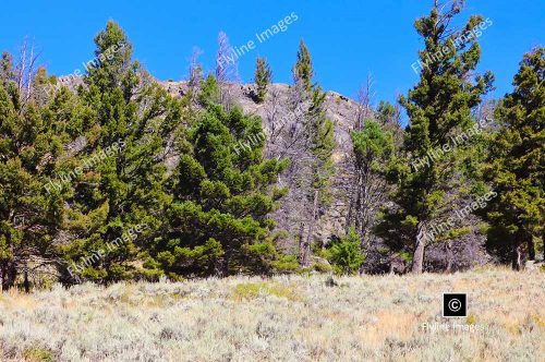 View From Slough Creek Trail