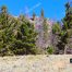 View From Slough Creek Trail