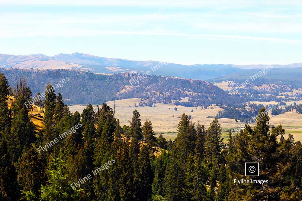 View Along Slough Creek Trail