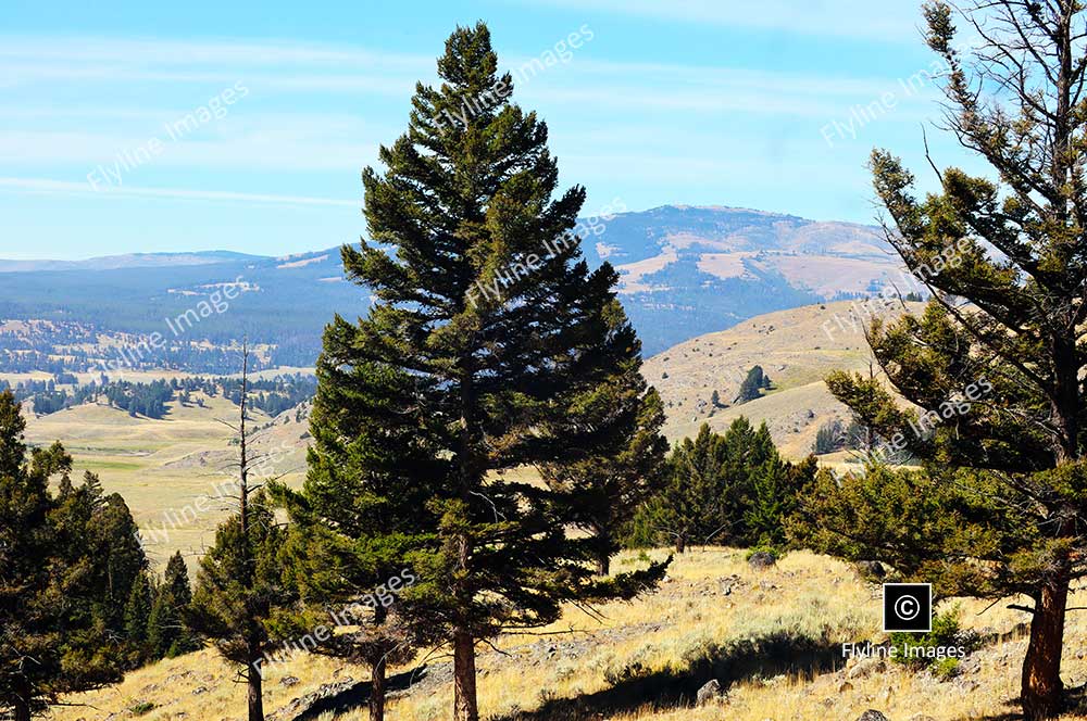 Views along Slough Creek Trail