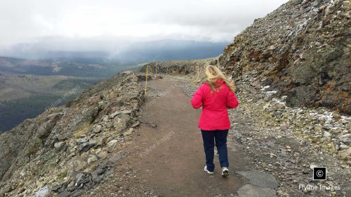 Summit of Mount Washburn, Yellowstone National Park