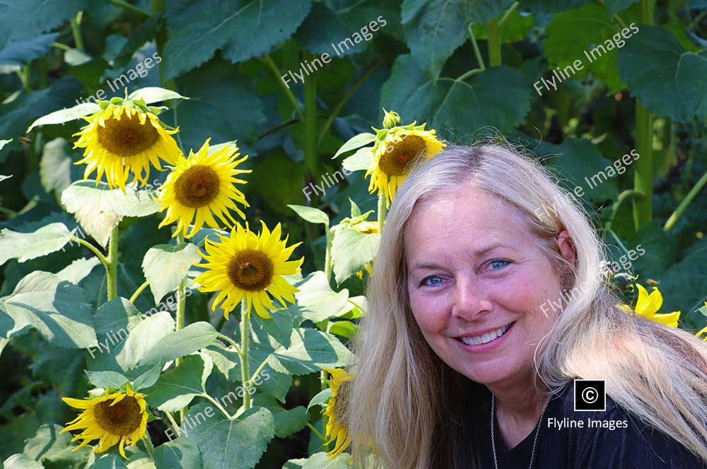 Janice Lein, Sunflower Field, North Georgia