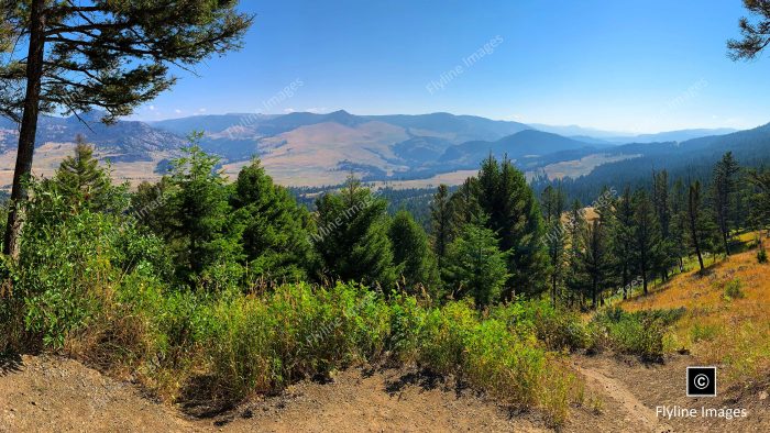 Yellowstone National Park, Scenic Vista