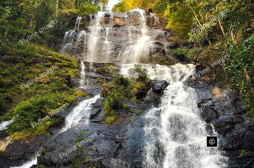 Amicalola Falls, Summer, North Georgia