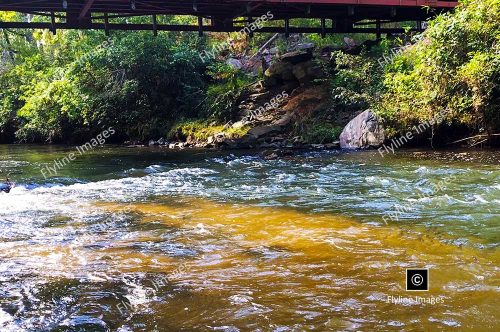 Amicalola River, North Georgia