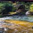 Amicalola River, North Georgia