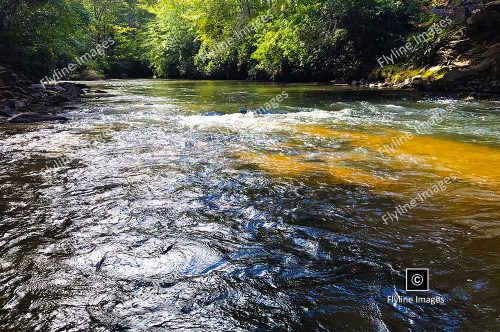 Amicalola River, North Georgia