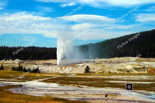 Beehive Geyser