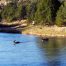 Chama River, Deer Crossing Stream, New Mexico