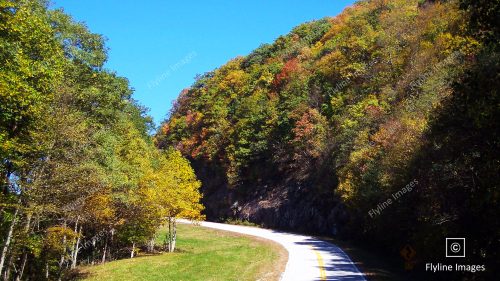 Fall In North Georgia, Breathtaking Fall Tree Colors