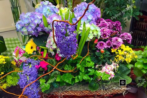 Flowering Basket, Flower Shop