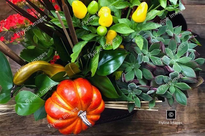 Fall Flowering Basket, Flower Shop