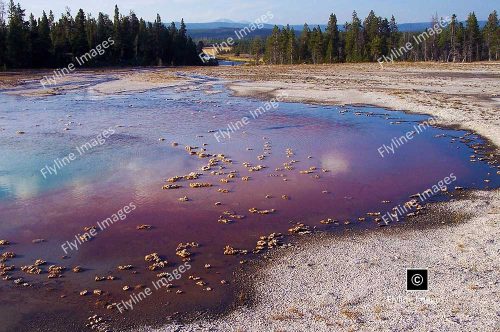 Grand Prismatic Hot Spring