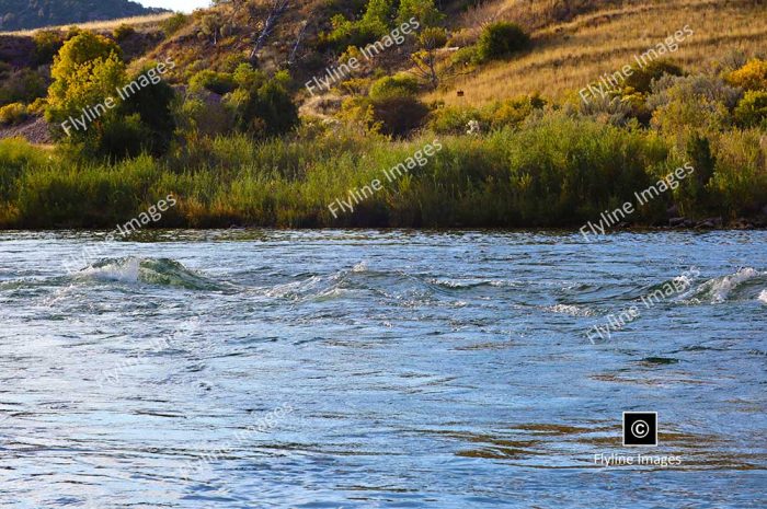 Green River, Section B, Fly Fishing