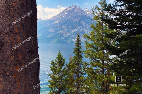 Jenny Lake, Grand Tetons