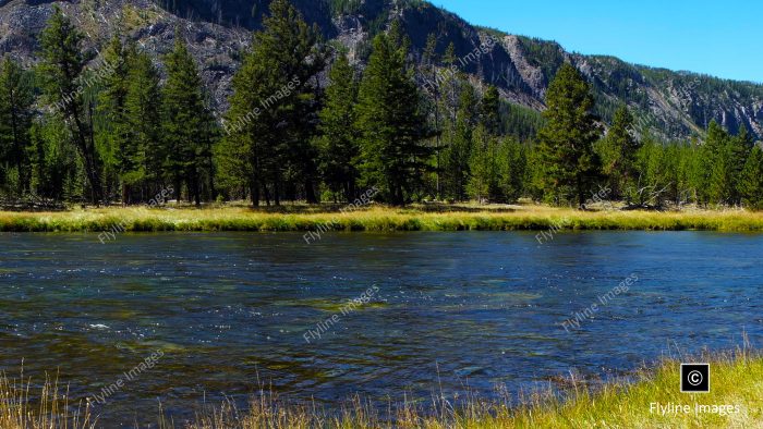 Madison River, Yellowstone National Park