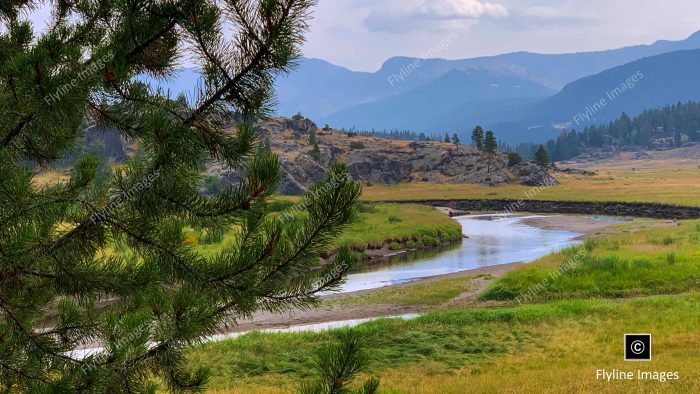 Slough Creek, Yellowstone National Park