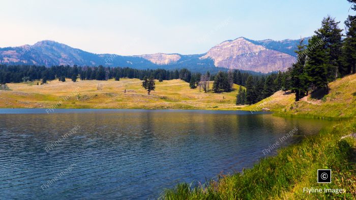 Trout Lake, Lamar Valley, Yellowstone National Park