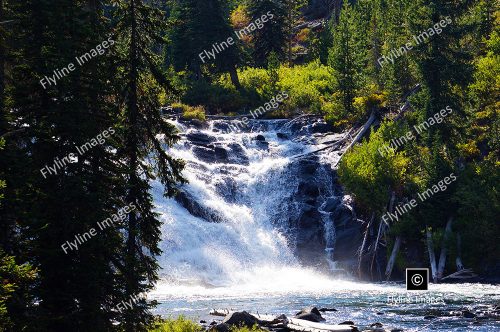 Lewis Falls, Snake River, Wyoming