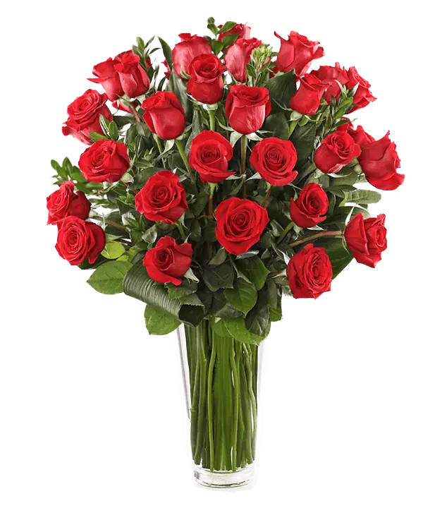 Red Roses, Bouquet of Roses, 2 Dozen Red Roses